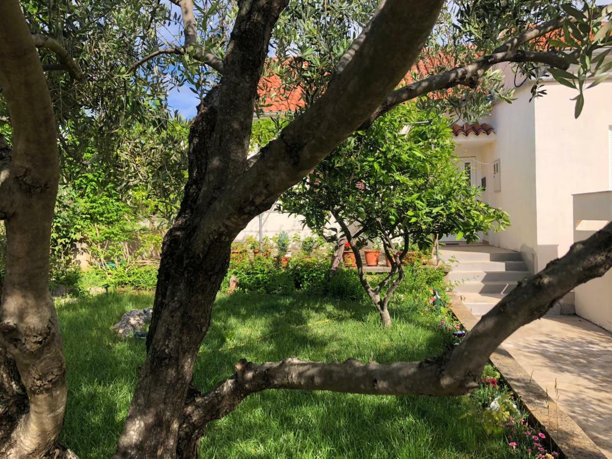 Roses Apartment Lukoran Екстериор снимка