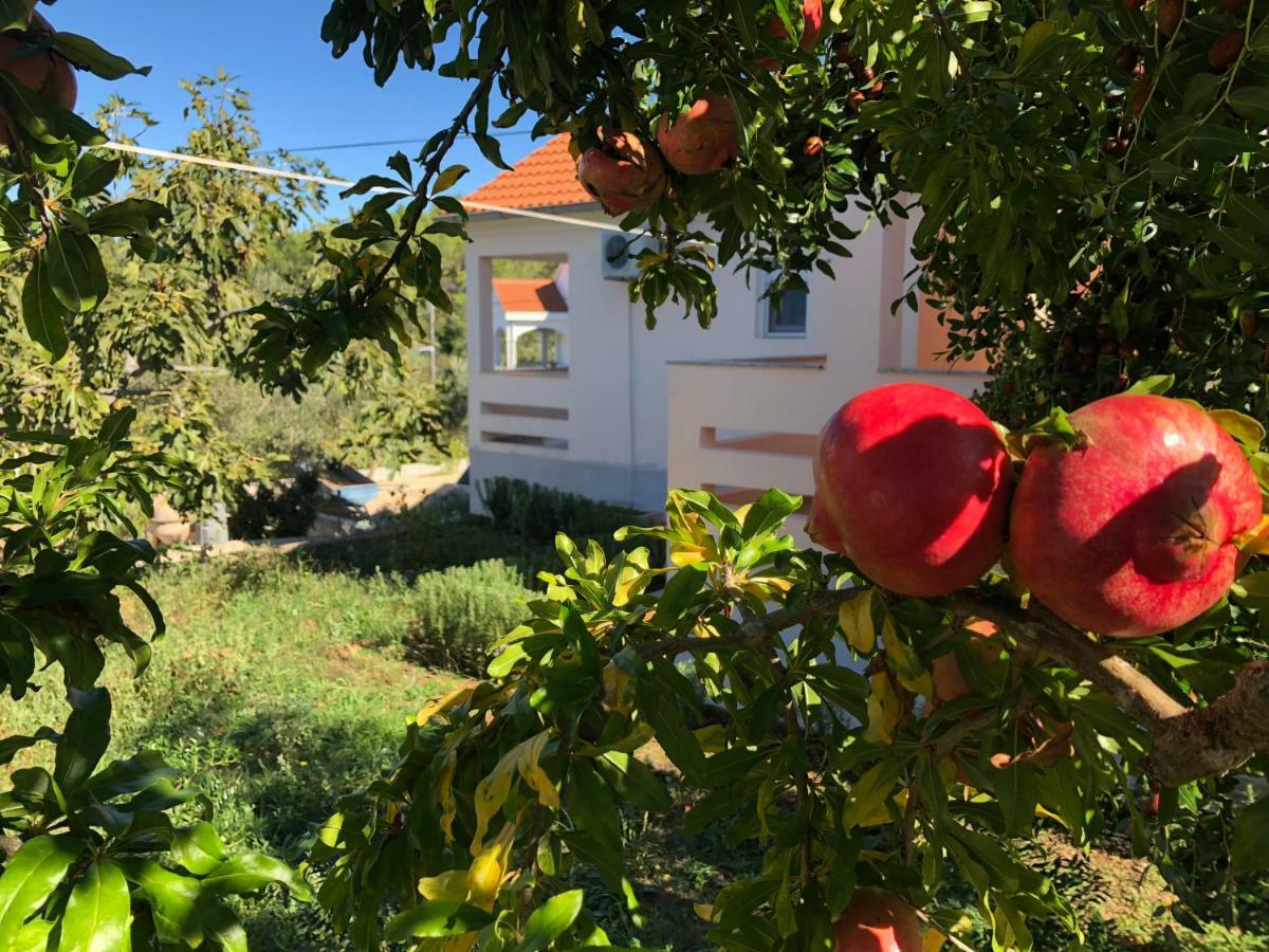 Roses Apartment Lukoran Екстериор снимка